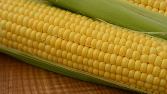 玉米 农业 农作物 食物 植物视频素材模板下载