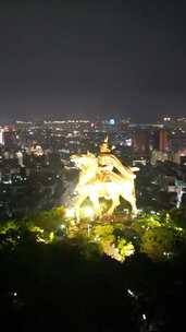 竖版视频福建泉州夜景丰泽区夜景