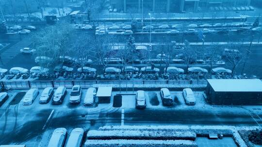 北京三月雪