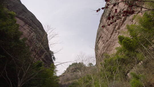 山涧山 山崖