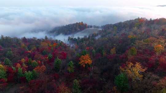 4K秋天五花山吉林东北秋景日出云海云雾逆光