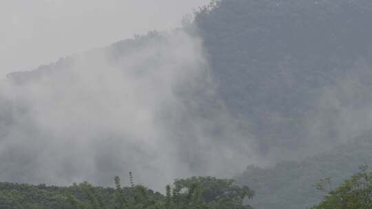 雨后大山大雾