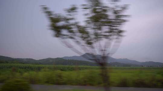 汽车窗外移动风景侧窗天空风景电线路灯树林