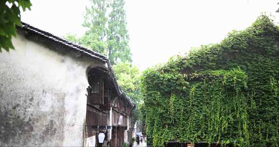 （慢镜）江南古镇大雨屋檐下的爬山虎