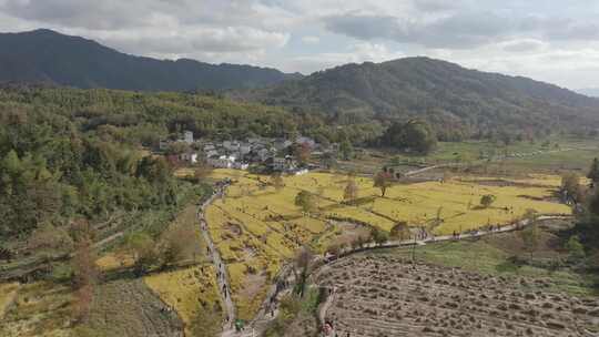 安徽塔川皖南秋色徽派建筑村落