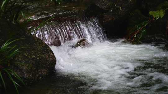 山涧自然小溪流水山泉水