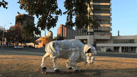 城市中心的野牛雕塑
