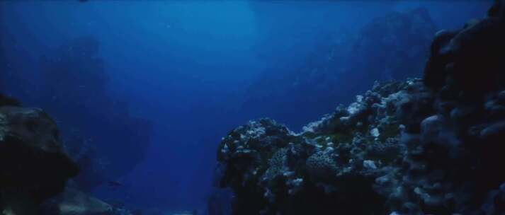 深潜视角-深海珊瑚礁