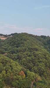 竖屏航拍重庆涂山风景