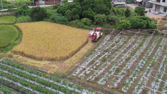 秋季农田丰收航拍