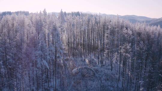 4k航拍恩施雪山雾凇风光视频素材模板下载