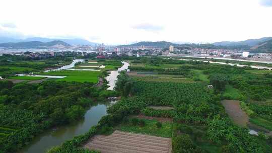 航拍闽江小岛果园茉莉花田沙洲湿地河汊白鹭