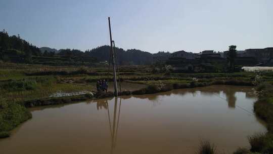 航拍水田里面安装电线杆