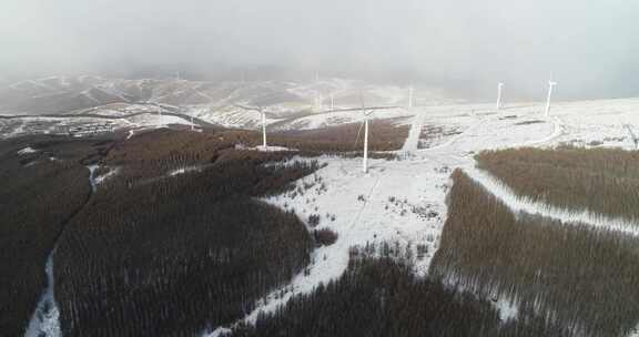 张家口崇礼雪山森林4k