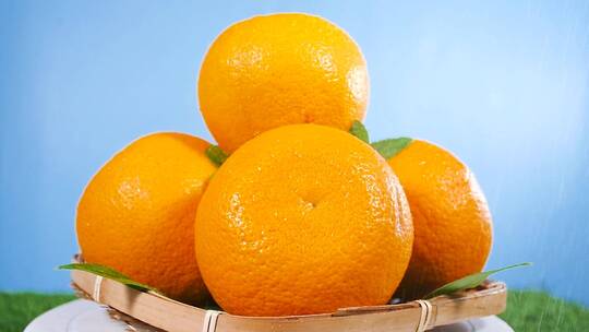 橘柚素材