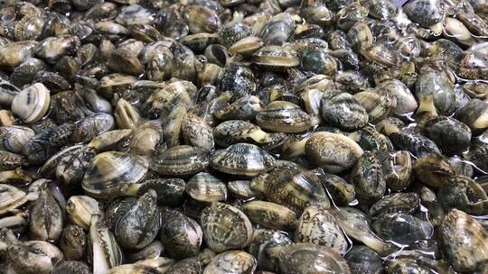 海鲜市场购买海蛎子、龙虾、扇贝