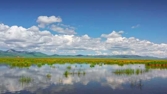 阿坝若尔盖花湖湿地