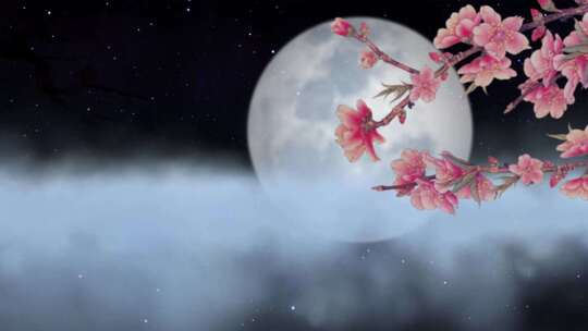 唯美大海上升月亮白月光夜空圆月花瓣
