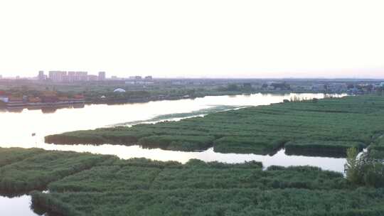 白洋淀航拍夏天