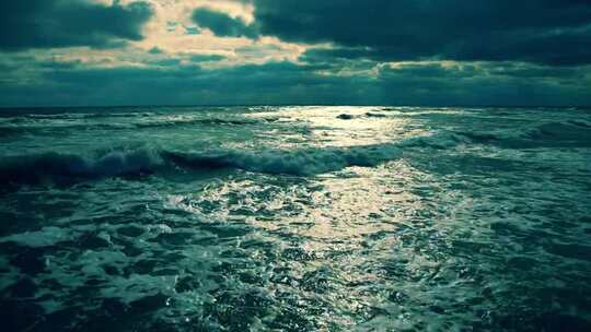 海边海鸥海浪