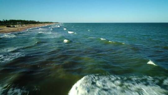 在海边飞过海浪