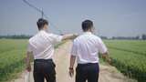 背影  脚步 公职人员走在田野的乡间小路上高清在线视频素材下载