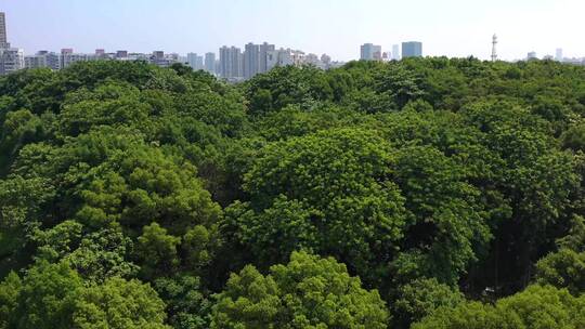 长沙市麓谷公园航拍