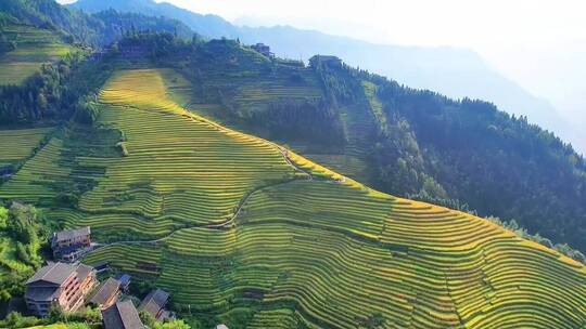 旅游景区，大山深处自然美，治愈系风景