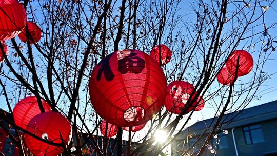 春节北京胡同里的年味挂起红灯笼中式宫灯