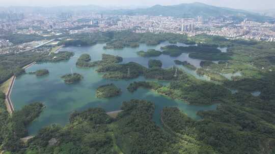 深圳龙华茜坑水库