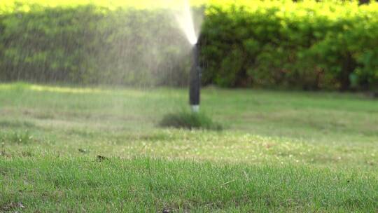 草地 浇水 浇灌 灌溉系统 喷水 绿化视频素材模板下载