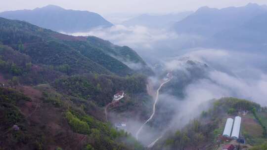 镇安海棠山视频素材模板下载