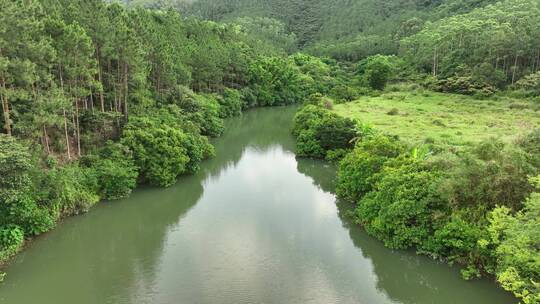 航拍湿地森林绿野仙踪