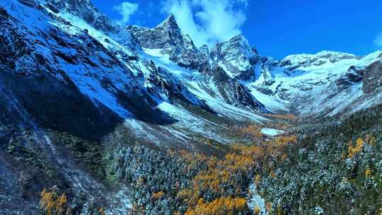 雪山下多彩树林与湖泊相映的美景