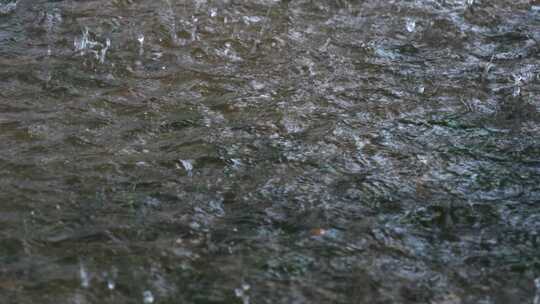 雨滴落入水面特写