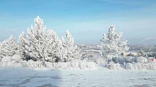 冬日雪景树木与城市远景