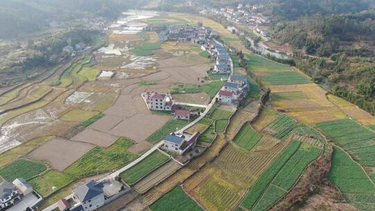 航拍 农业 种植 农田 乡村 田园