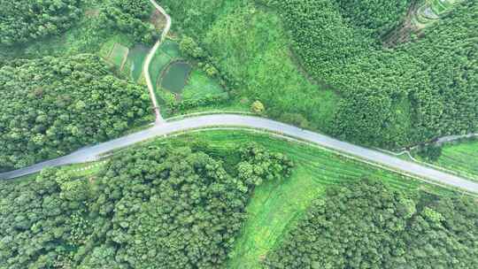 森林公路航拍乡村道路俯拍绿色山路风景风光