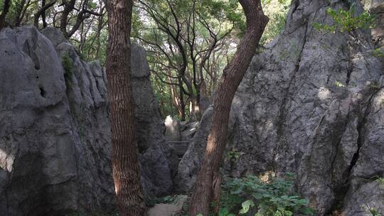 杭州凤凰山景区月岩景点视频素材模板下载