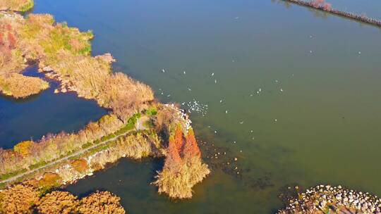 冬天的东大河湿地公园航拍