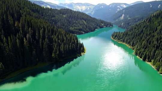 航拍湖泊和森林的风景