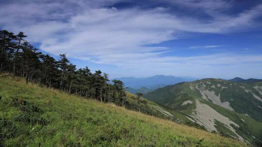 宣传片大气绿色和谐秦岭森林延时摄影实拍