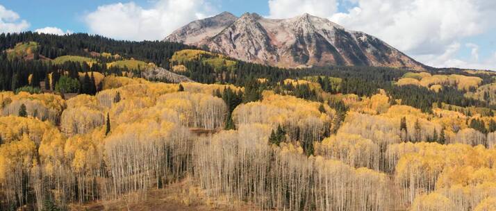 秋天树叶黄漫山遍野的树木五颜六色的秋天