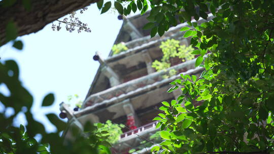 武汉洪山区宝通禅寺皇家寺院