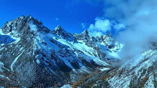 雪山下多彩树林与湖泊相映的美景