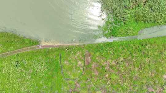 航拍湖泊堤防沿岸湖滩滩涂湿地岛屿绿洲空镜