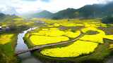 油菜花海田园风光青山绿水河流乡村田野风景高清在线视频素材下载