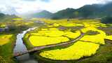 油菜花海田园风光青山绿水河流乡村田野风景高清在线视频素材下载