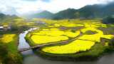 油菜花海田园风光青山绿水河流乡村田野风景高清在线视频素材下载