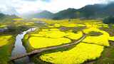 油菜花海田园风光青山绿水河流乡村田野风景高清在线视频素材下载